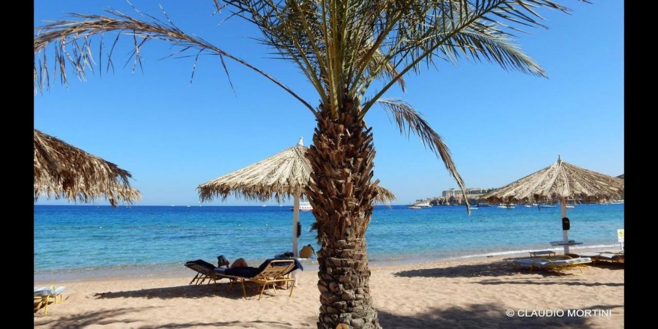 Sharm Dreams Vacation Club - Aqua Park Hotel Ngoại thất bức ảnh El Alamein beach